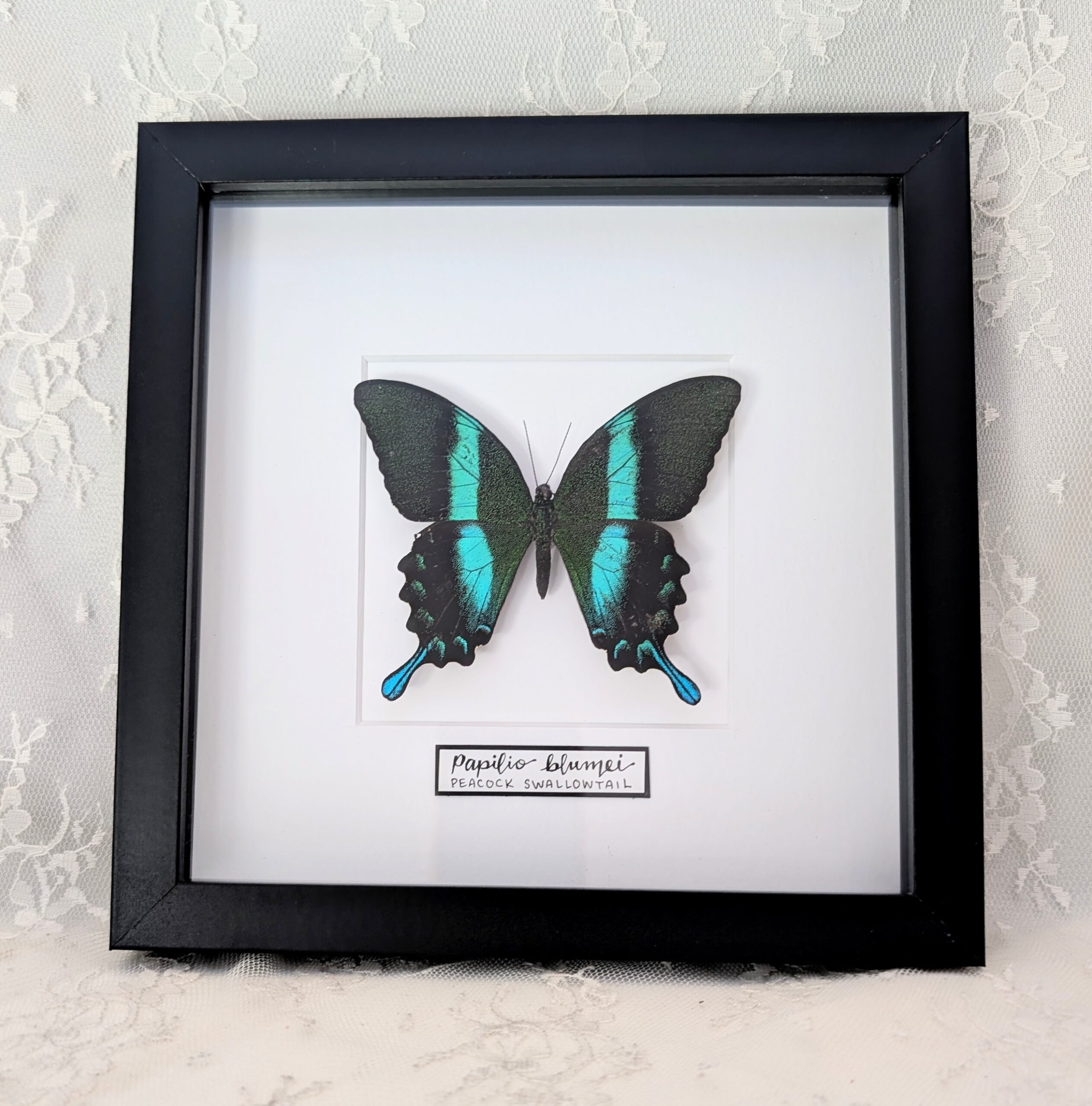 PXL_20250711_002659079~2