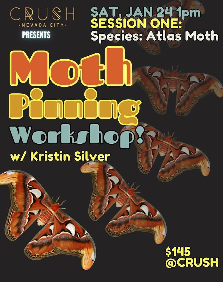 facebook_1759376324469_7379359155227809009