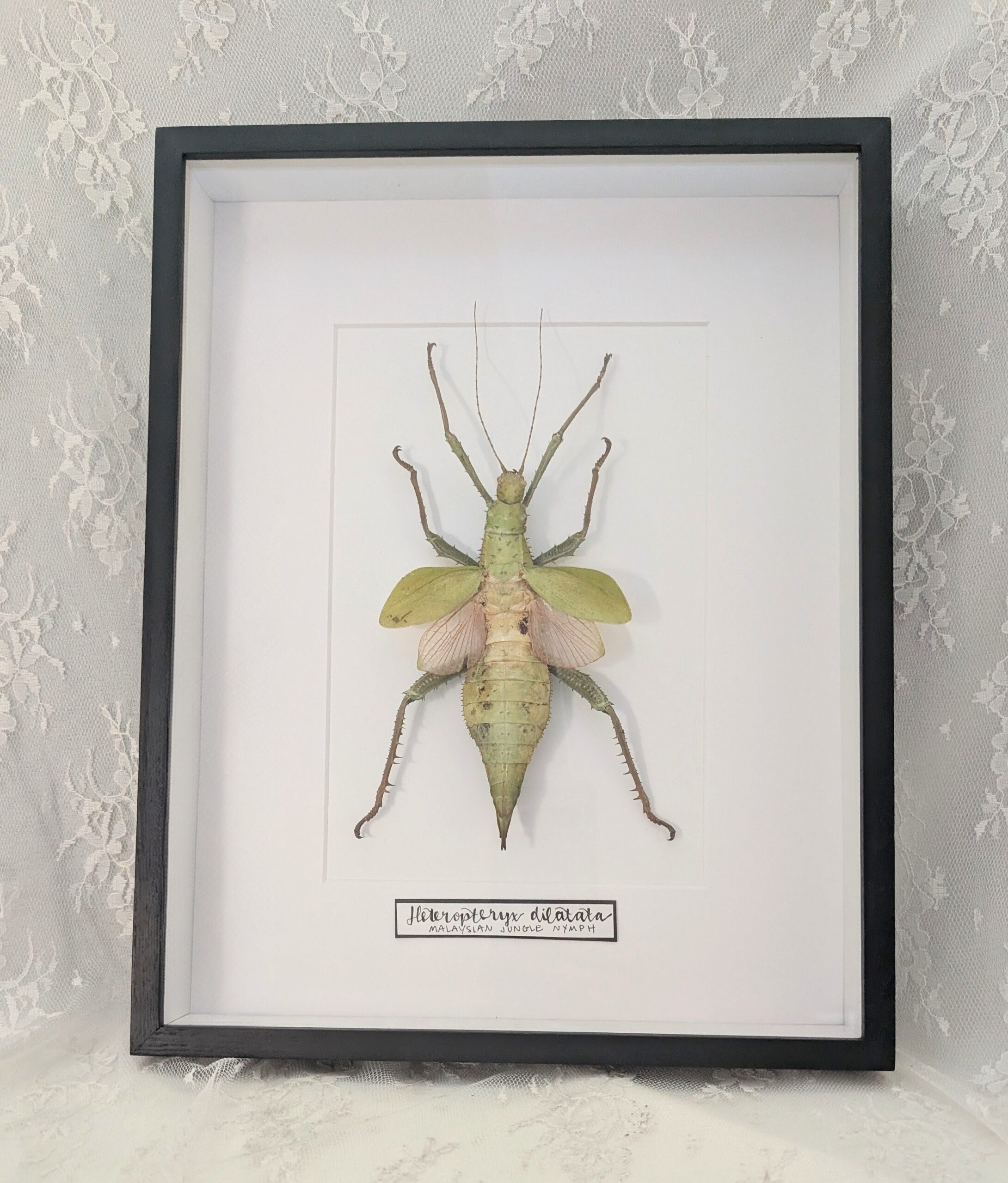 PXL_20251115_162437607~3